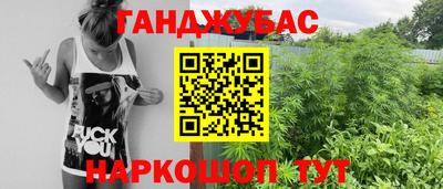 дмт Камышлов