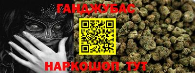 дмт Камышлов