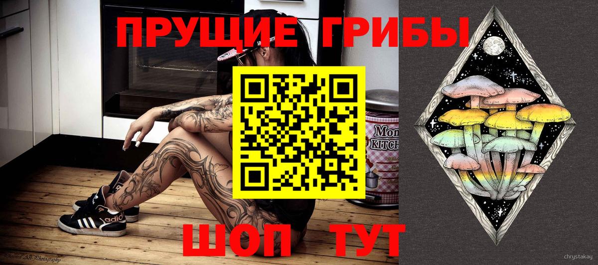 Псилоцибиновые грибы Psilocybe  Вход с VPN  Кудрово  Псилоцибиновые грибы Psilocybine cubensis 
