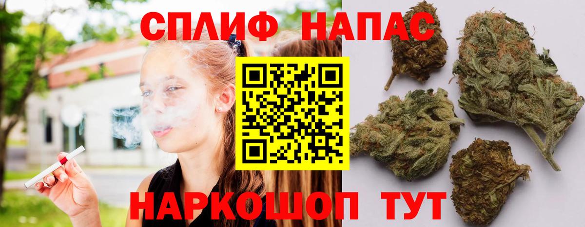 Марихуана семена Кудрово